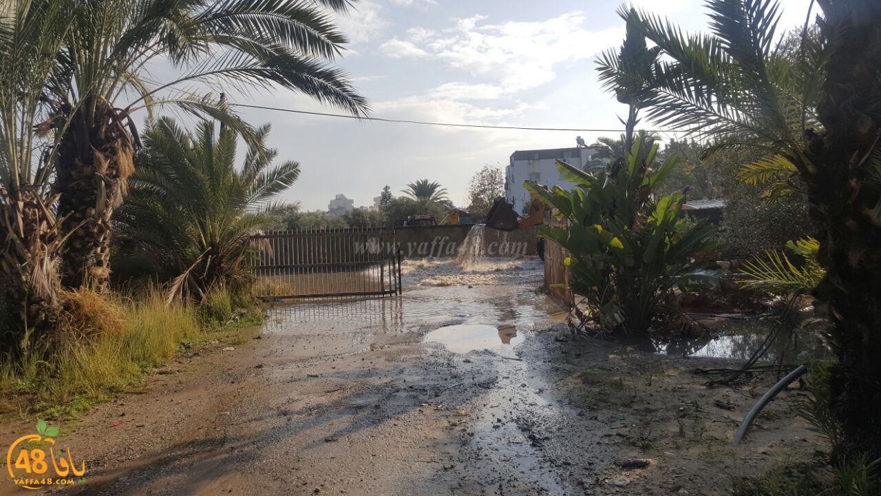 dhamasha ja3 (10).jpg